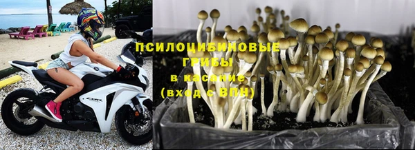 спайс Бородино