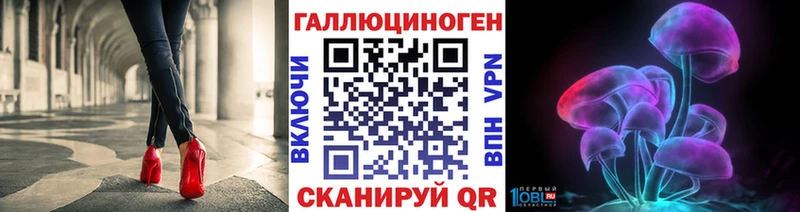 Псилоцибиновые грибы MAGIC MUSHROOMS  darknet Telegram  Северобайкальск  как найти наркотики 